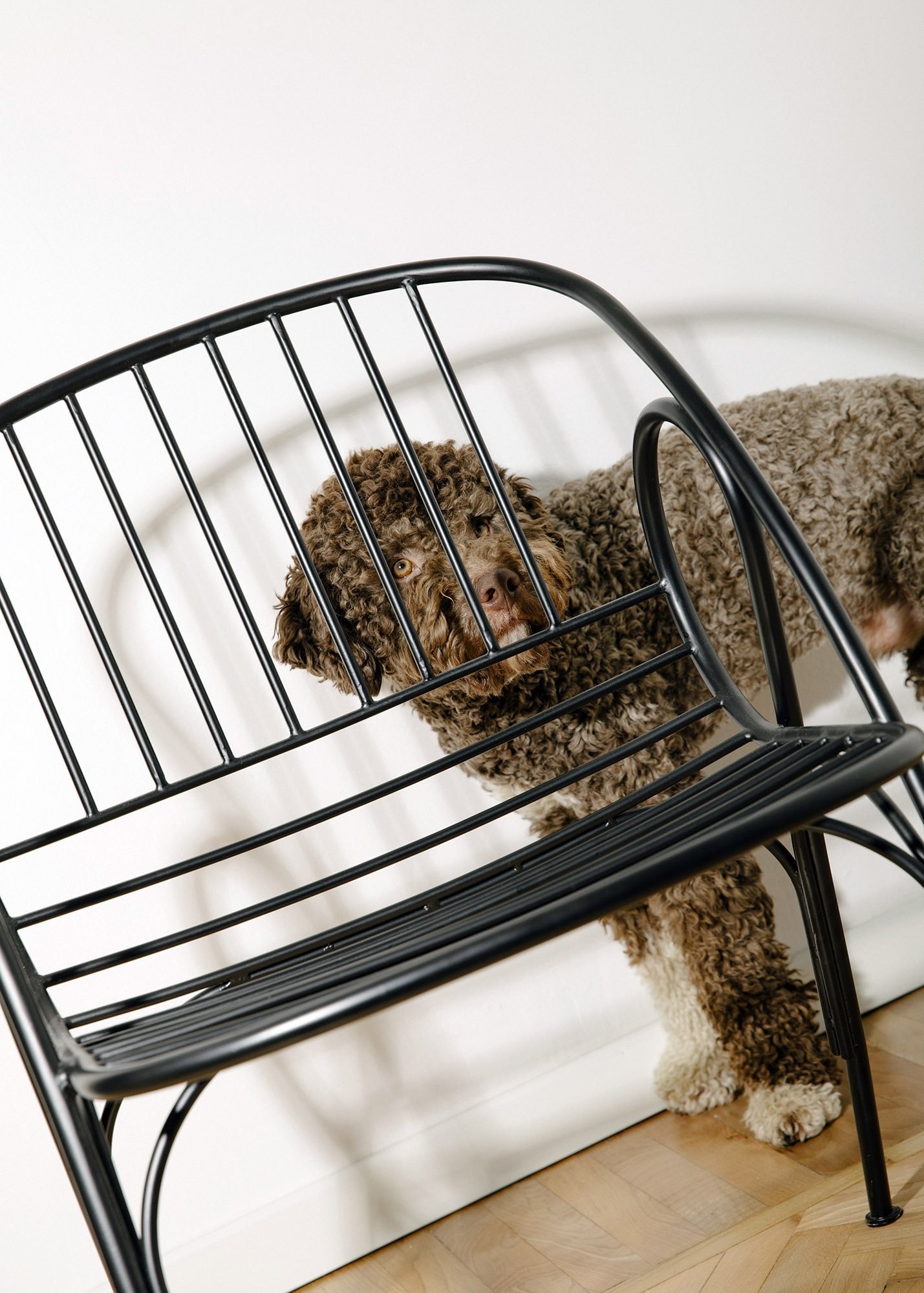 Barani Lounge Chair by Valerio Sommella Studio for Personal Project